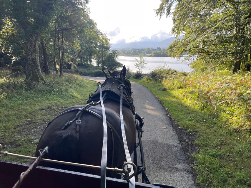 Killarney National Park Jaunting Car Tour - Mountain views and the deer parks