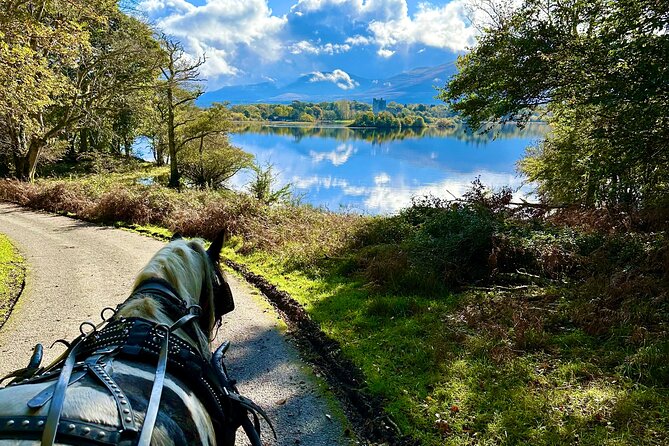 Killarney National Park Tour - The guides make the short ride worthwhile