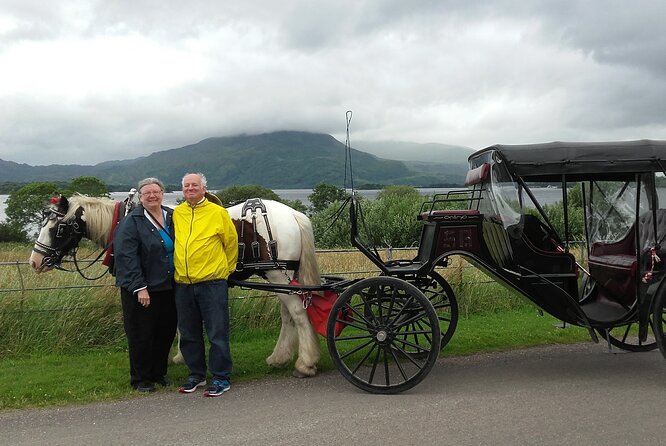 Killarney National Park Tour - The horses and the family business