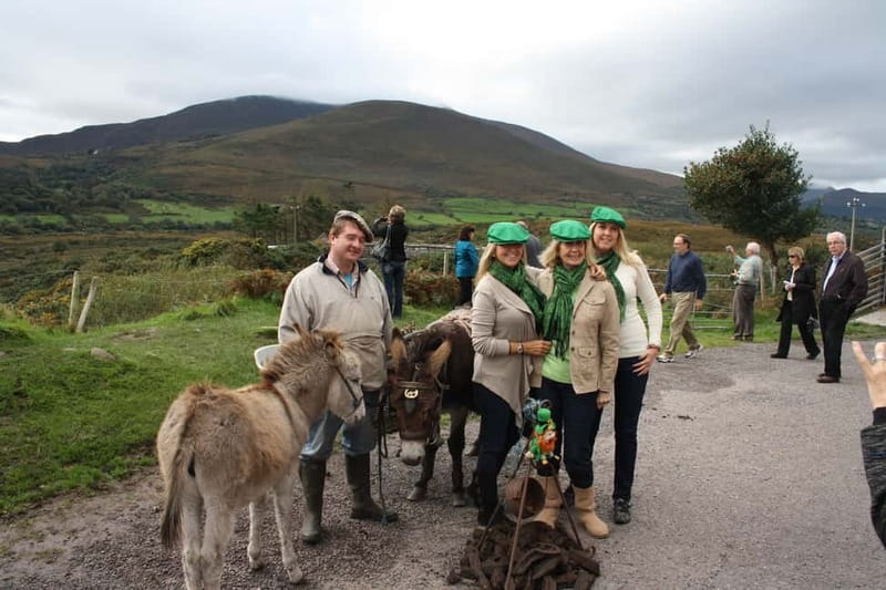 Killarney: Ring of Kerry Bus Tour - Key points to know before booking
