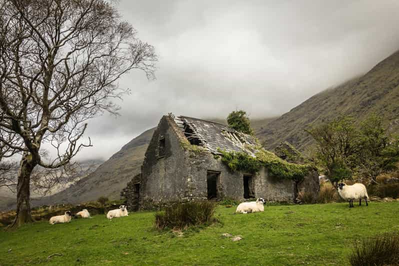 Killarney: The Ring of the Reeks - Backroads Rural Tour - Key points at a glance
