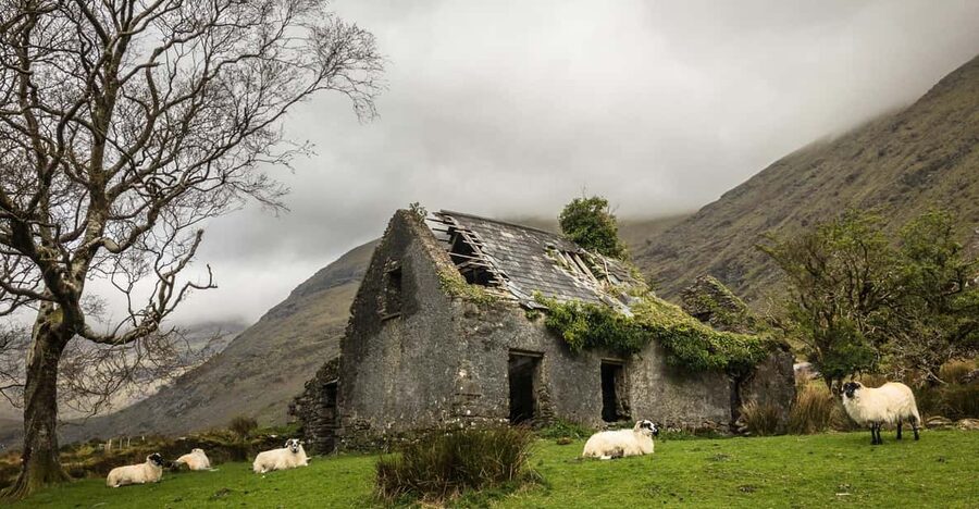Killarney: The Ring of the Reeks - Backroads Rural Tour - Who should book this day out