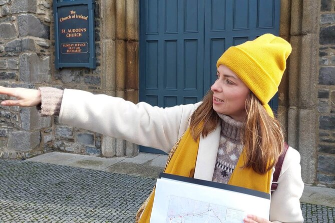 Medieval Dublin Walking Private Guided Tour - Dublin Castle, gardens, and Anglo-Norman power