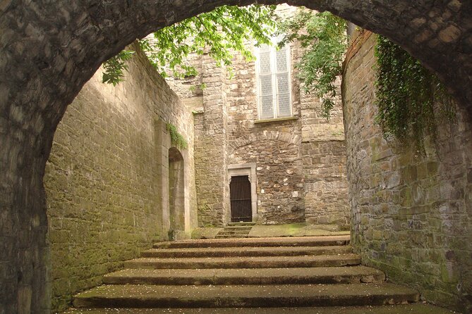 Medieval Dublin Walking Private Guided Tour - Starting at Dublin City Council and Wood Quay