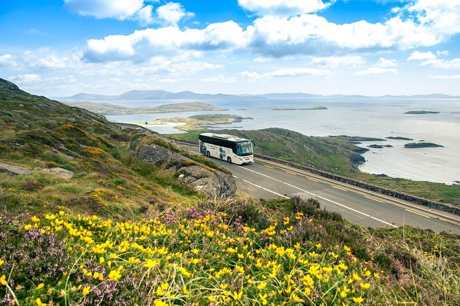 NO 1 Ring of Kerry Tour inc Killarney Lakes & National Park - The sheepdog demonstration is the most distinctive stop