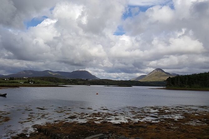 Oyster Farm and Tasting Experience - A working oyster farm instead of another viewpoint