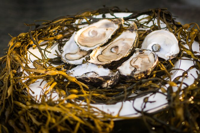 Oyster Farm and Tasting Experience - Who will enjoy DK Connemara Oysters?