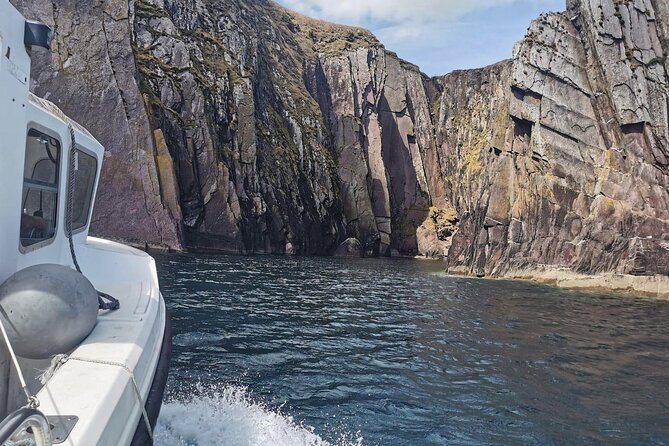 Private 1-Hour Guided Boat Tour in Dingle Peninsula - Views from the water, not just the roadside