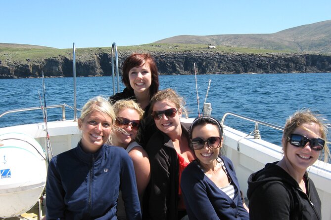 Private 1-Hour Guided Boat Tour in Dingle Peninsula - Why a private boat changes the outing