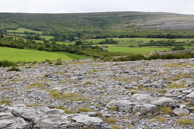 Private Burren and Cliffs of Moher Full Day Tour - Poulnabrone Dolmen puts the Burren in ancient perspective