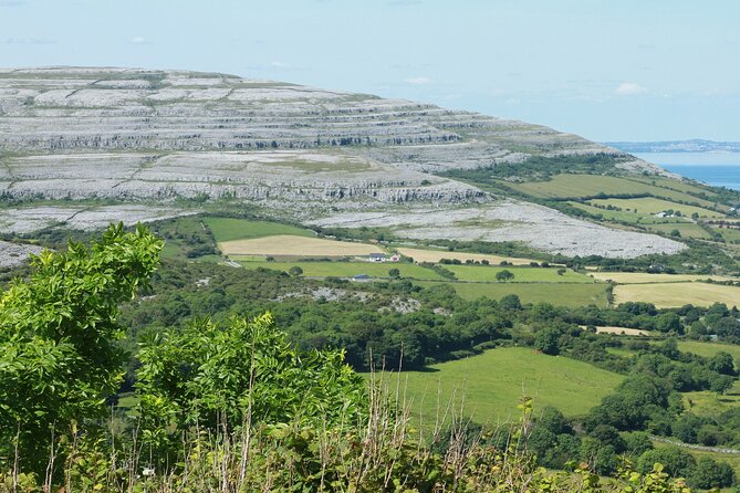 Private Burren and Cliffs of Moher Full Day Tour - The Cliffs of Moher deserve the main share of your attention