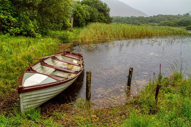 Private Connemara Day Tour - Lunch at Veldon’s in Letterfrack