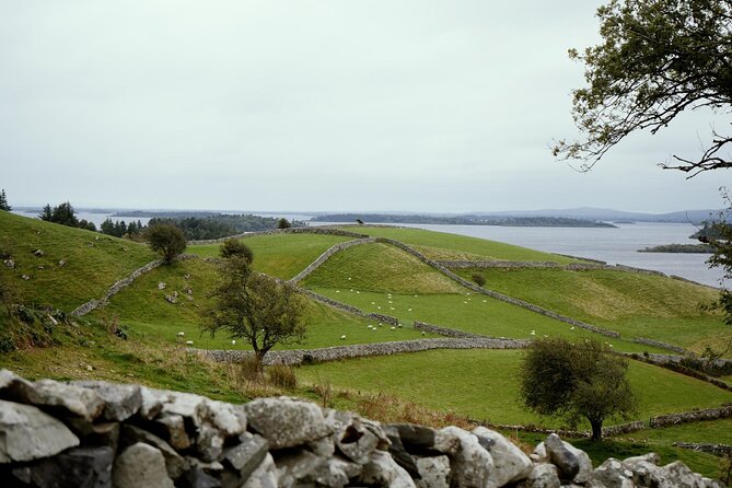 Private Day Tour Cliffs of Moher from Dublin - Key points to know before booking