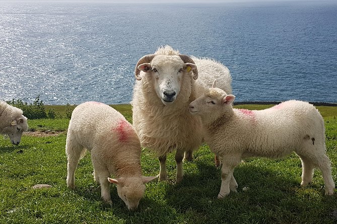 Private Dingle Peninsula Full-Day Tour - Conor Pass: an early taste of the high country
