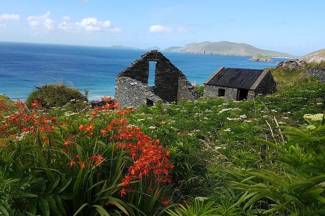 Private Dingle Peninsula Full-Day Tour - Eask Tower and Ventry Harbour
