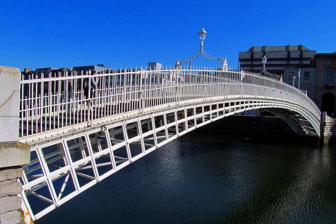 Private Fantastic Walking Tour of Dublin - Dublin Castle and the Dubh Linn Gardens