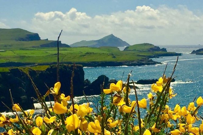 Private Full Day Tour From Killarney - Ring of Kerry/Skellig - A private way to see County Kerry