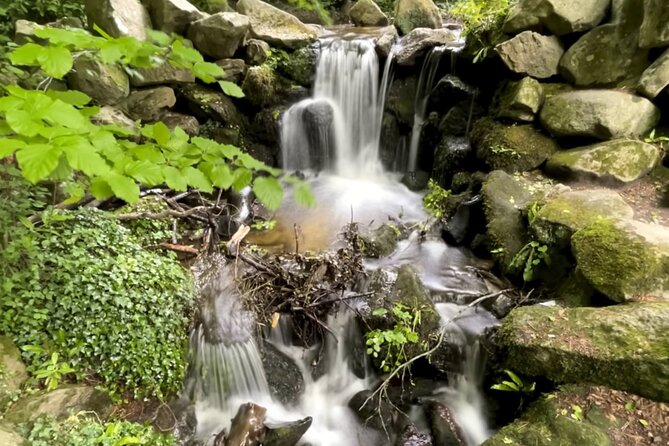 Private Garden of Ireland Wicklow Tour from Dublin - Key points to know before booking