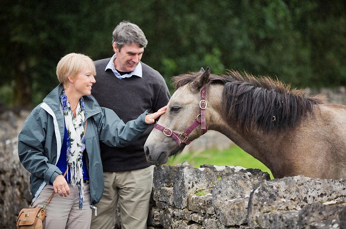 Private Half Day Tour To Connemara - Who will enjoy this Connemara outing most