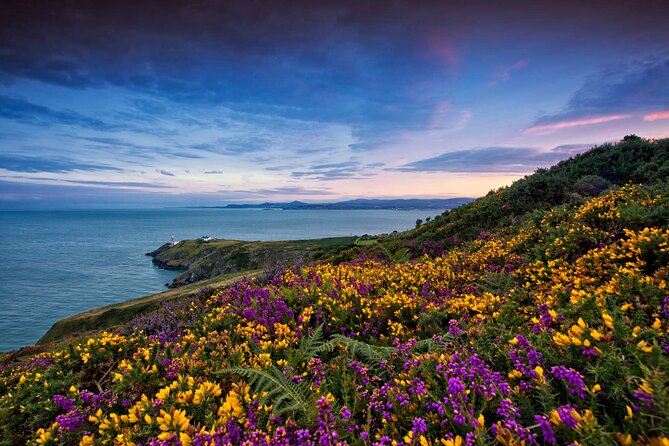 Private Howth Coastal Walk - The 90-minute Howth coastal walk