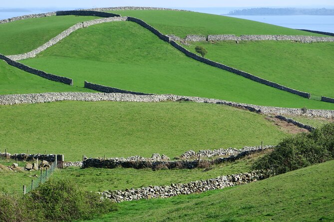 Private Luxury Tour of Newgrange and The Hill of Tara - What the private format adds