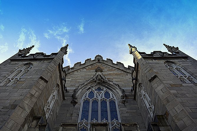 Private (Nearly!) All of Dublin in 5 hours (Walking Tour) - Dublin Castle and the medieval center