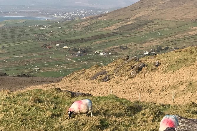 Private Ring of Kerry luxury tour with accredited guide - Torc Waterfall, a short final walk