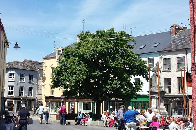 Private Tour: Classic Cork Tour visiting Blarney Castle & Kinsale - What the Driver-Guide Adds