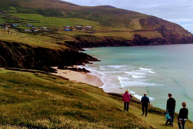 Private Tour: Dingle Peninsula from Dingle - Why this private Dingle tour works well