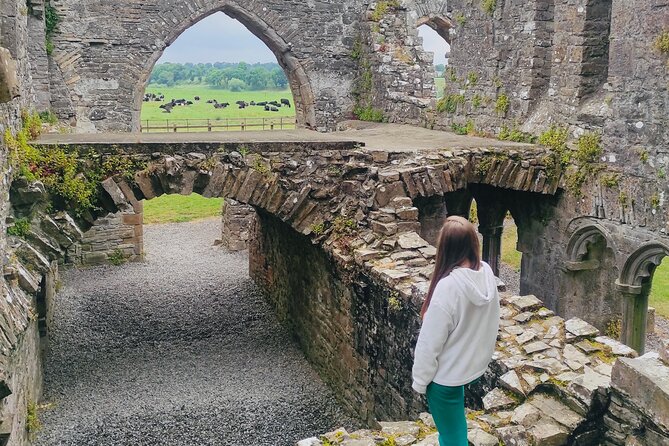 Private Tour from Dublin: Hill of Tara Trim Castle, Celtic sites - Trim Castle and Norman power