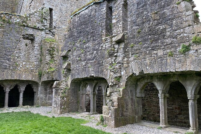 Private Tour from Dublin: Hill of Tara Trim Castle, Celtic sites - What the guide adds to the day