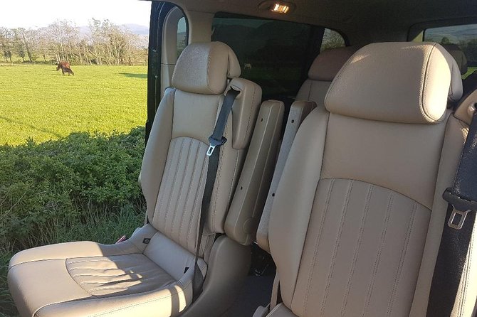 Private Transfer Dublin to Killarney - What the vehicle and driving experience are like