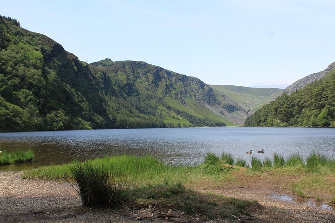 Private Wicklow Mountains Day Tour - Dalkey Island and the South Dublin coast