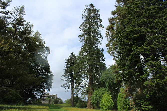 Private Wicklow Mountains Day Tour - Kilmacurragh and the return through the park