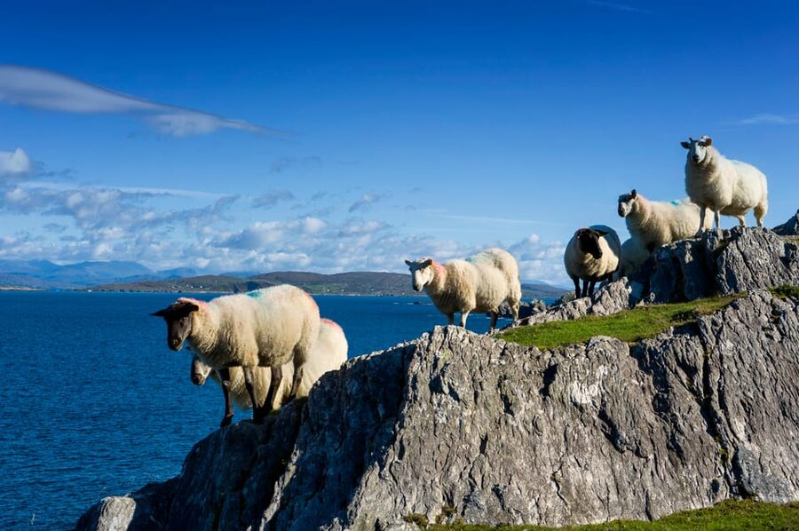 Private Wild Atlantic Day Tour from Cork - A private day built around your interests