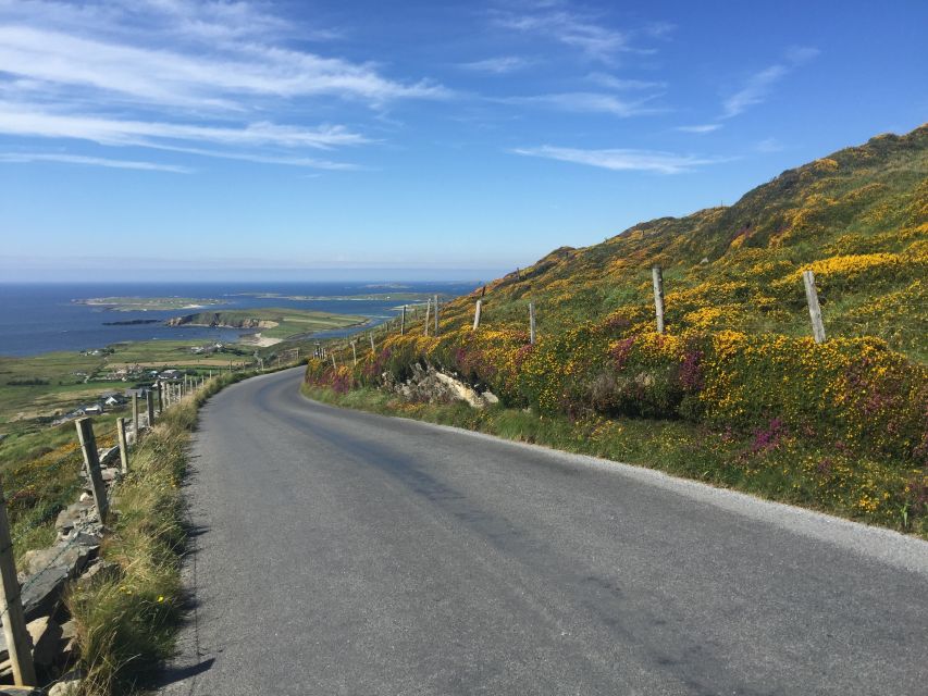 Rail Tour from Dublin: 2-Day West Coast Explorer - The driver-guide style and language limits