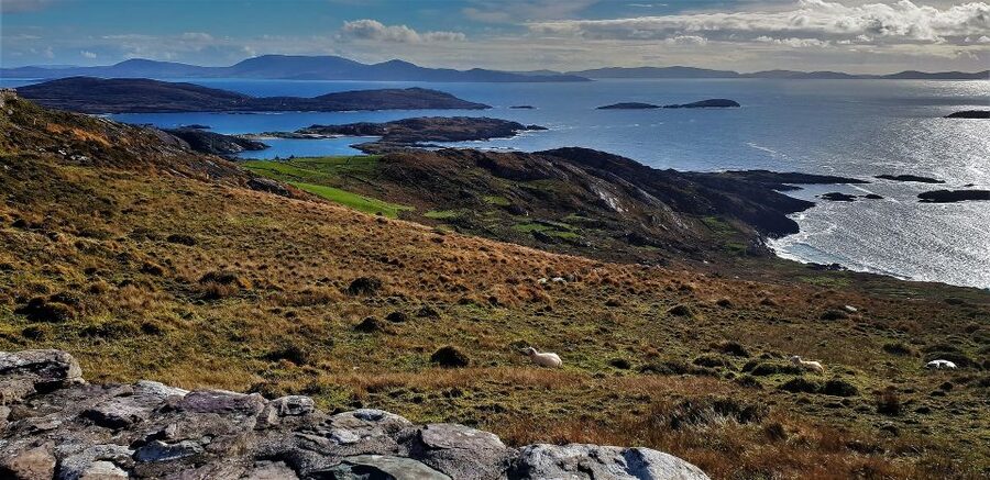Rail Tour from Dublin: The Ring of Kerry - The Lakes of Killarney