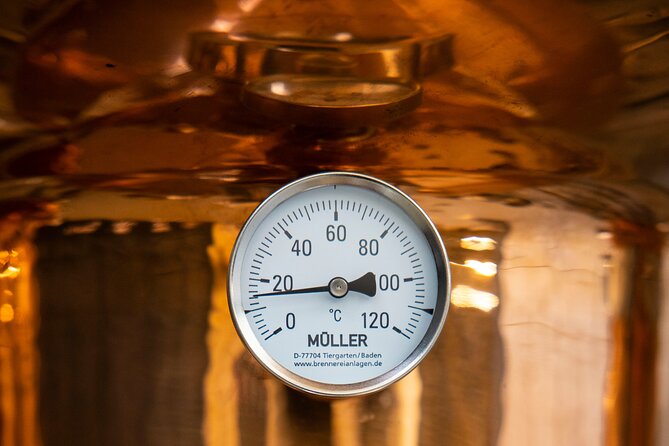 Rebel City Distillery Tour - Cork’s first city distillery in 50 years