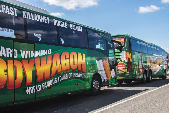 Ring of Kerry Day Tour from Cork: Including Killarney National Park - Why this is a useful Cork day trip
