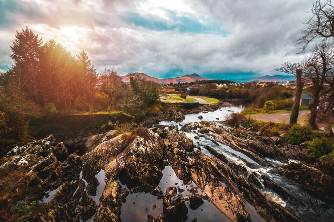 Ring of Kerry Day Tour from Killarney: Including Killarney National Park - The coach, group size, and guide quality