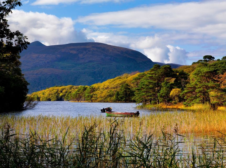 Ring of Kerry Full-Day Tour from Limerick - Killarney National Park and the high views