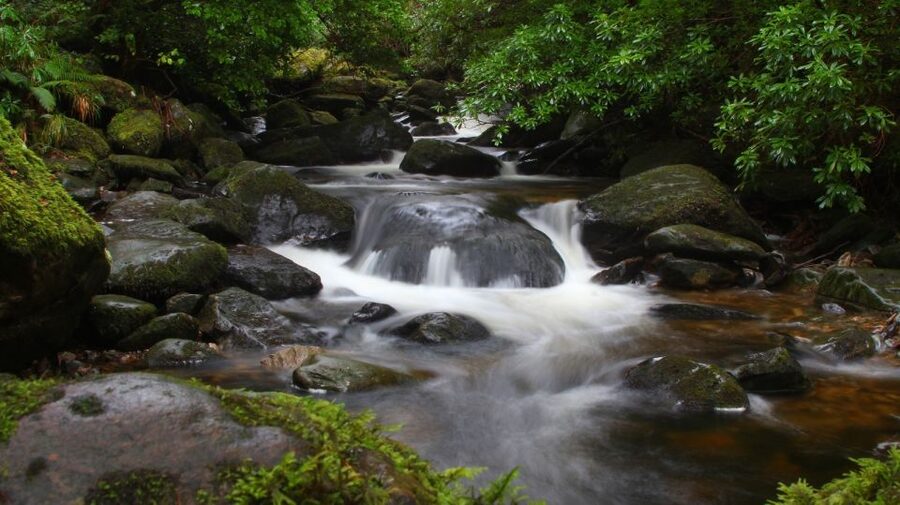 Ring of Kerry Full-Day Tour from Limerick - Torc Waterfall gives you time to stretch