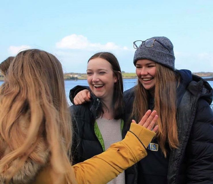 Ring of Kerry Full-Day Tour from Limerick - The long ride from Limerick