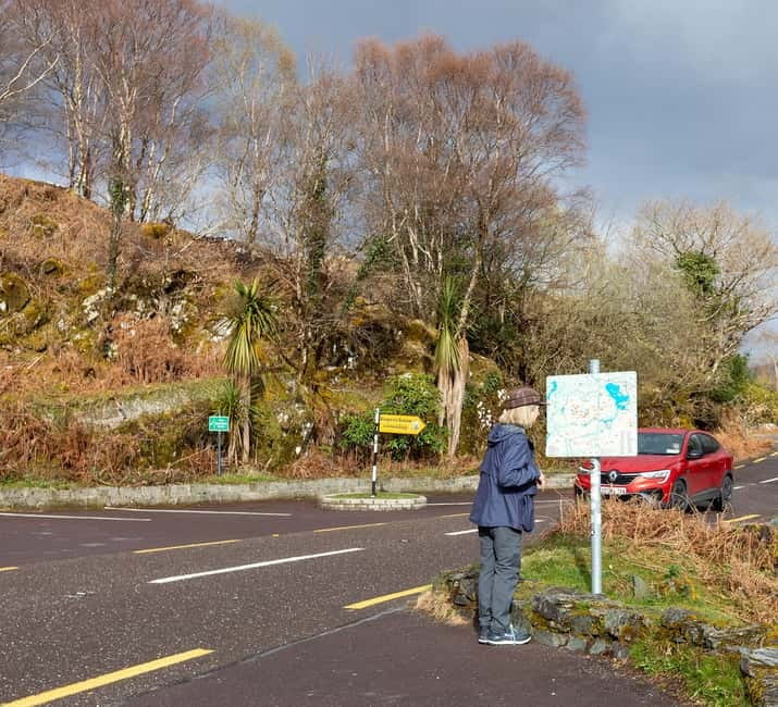 Ring of Kerry & Kerry Cliffs: Private Tour from Killarney - Why a private Ring of Kerry day works so well