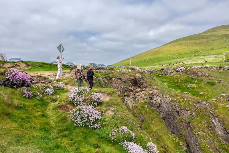 Ring of Kerry & Kerry Cliffs: Private Tour from Killarney - Sneem, Molls Gap, and the return through the mountains