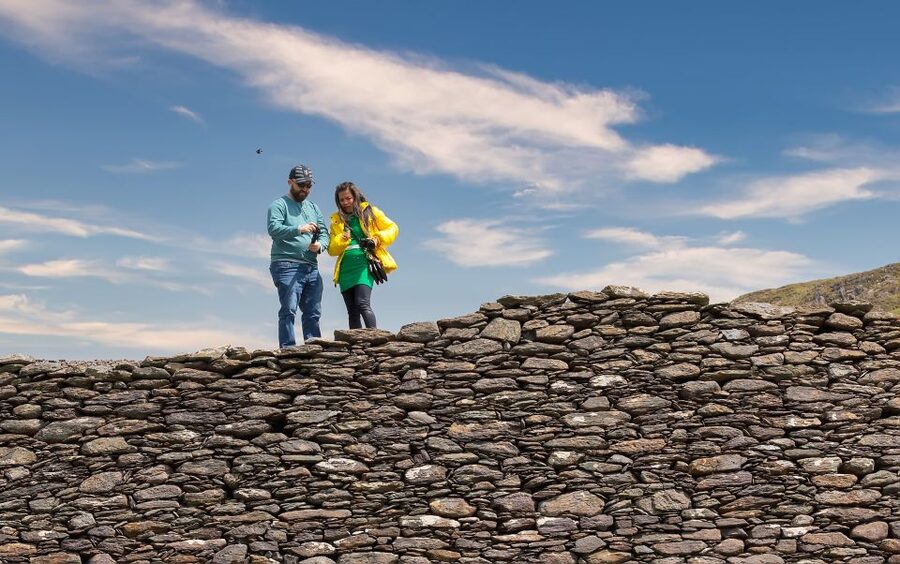 Ring of Kerry & Kerry Cliffs: Private Tour from Killarney - What the $684 price really buys