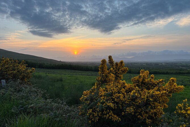 Ring of Kerry Private Tour from Killarney - Lunch, drinks, and the value of flexibility