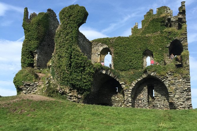 Ring of Kerry Private Tour from Killarney - Who will get the most from this tour