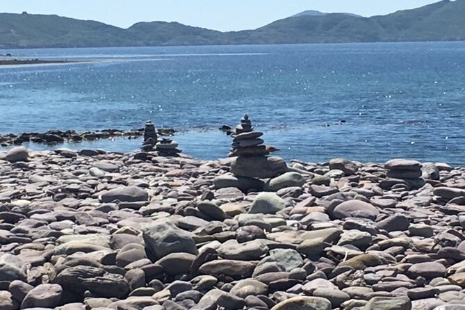 Ring of Kerry private Tour from Killarney, Car or minibus - Molls Gap, Ladies’ View, and the Lakes of Killarney