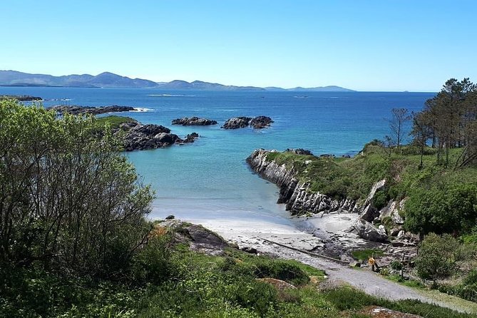 Ring of Kerry & Skellig Ring - Private Tour - Moll’s Gap and the Black Valley